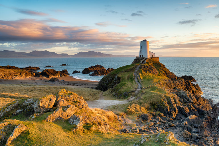 [Summer Study Tour] Buddhism｜Cardiff Celtic