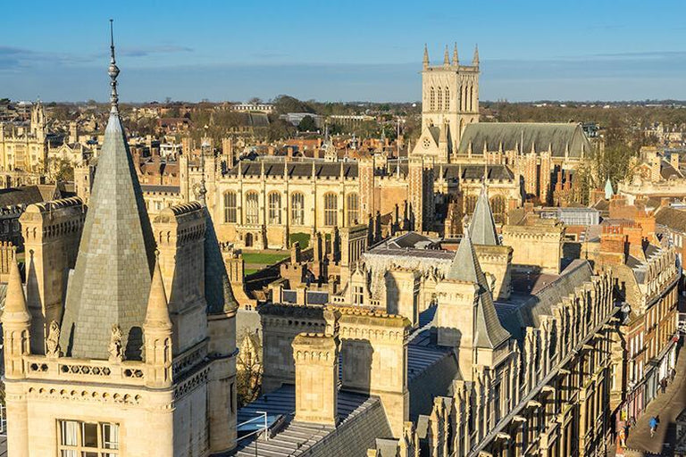 [Summer Study Tour] Buddhism｜Cambridge Kaplan