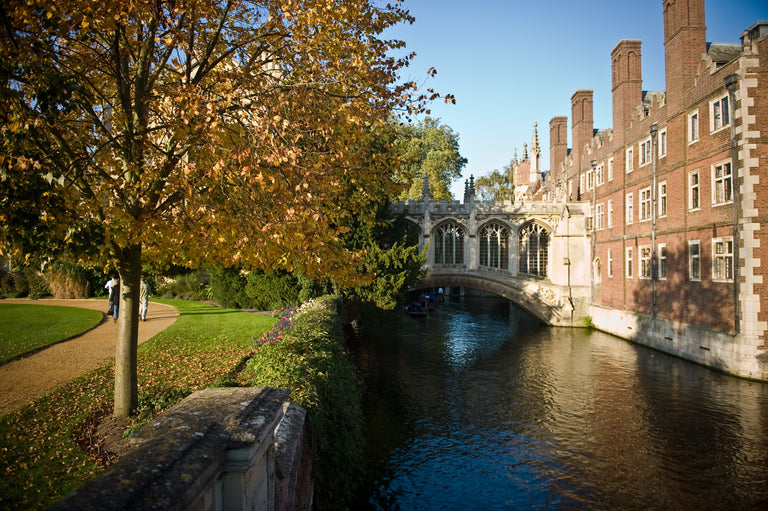 [Summer Study Tour] Buddhism｜Cambridge Kaplan